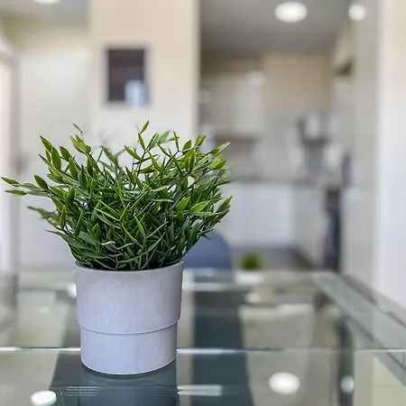 Guestready - Nuevos Livian Palmas * Las Palmas de Gran Canaria